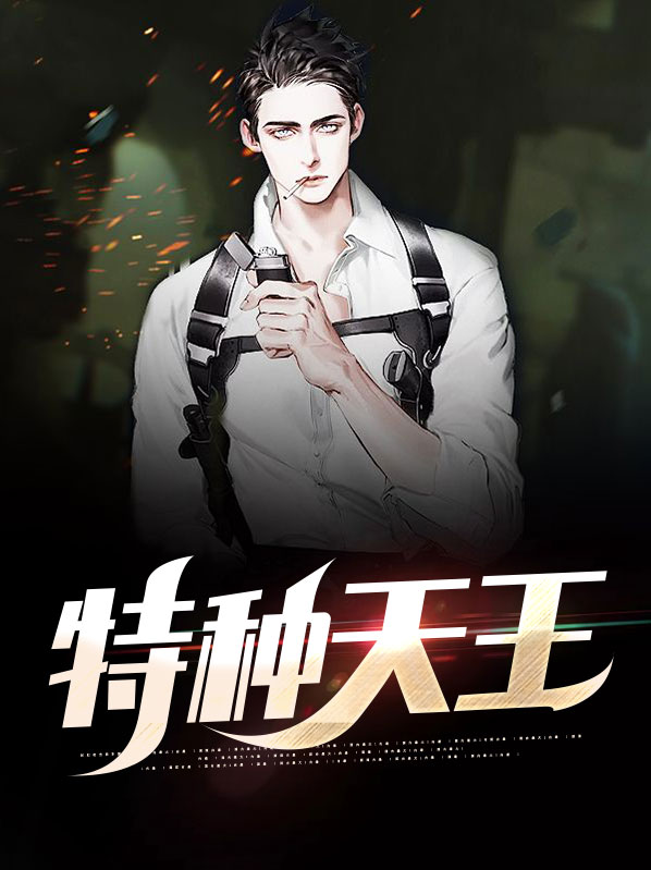 特种兵王天云