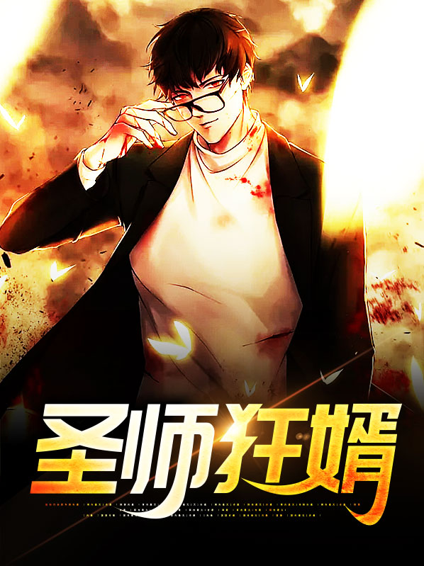 圣医狂婿txt