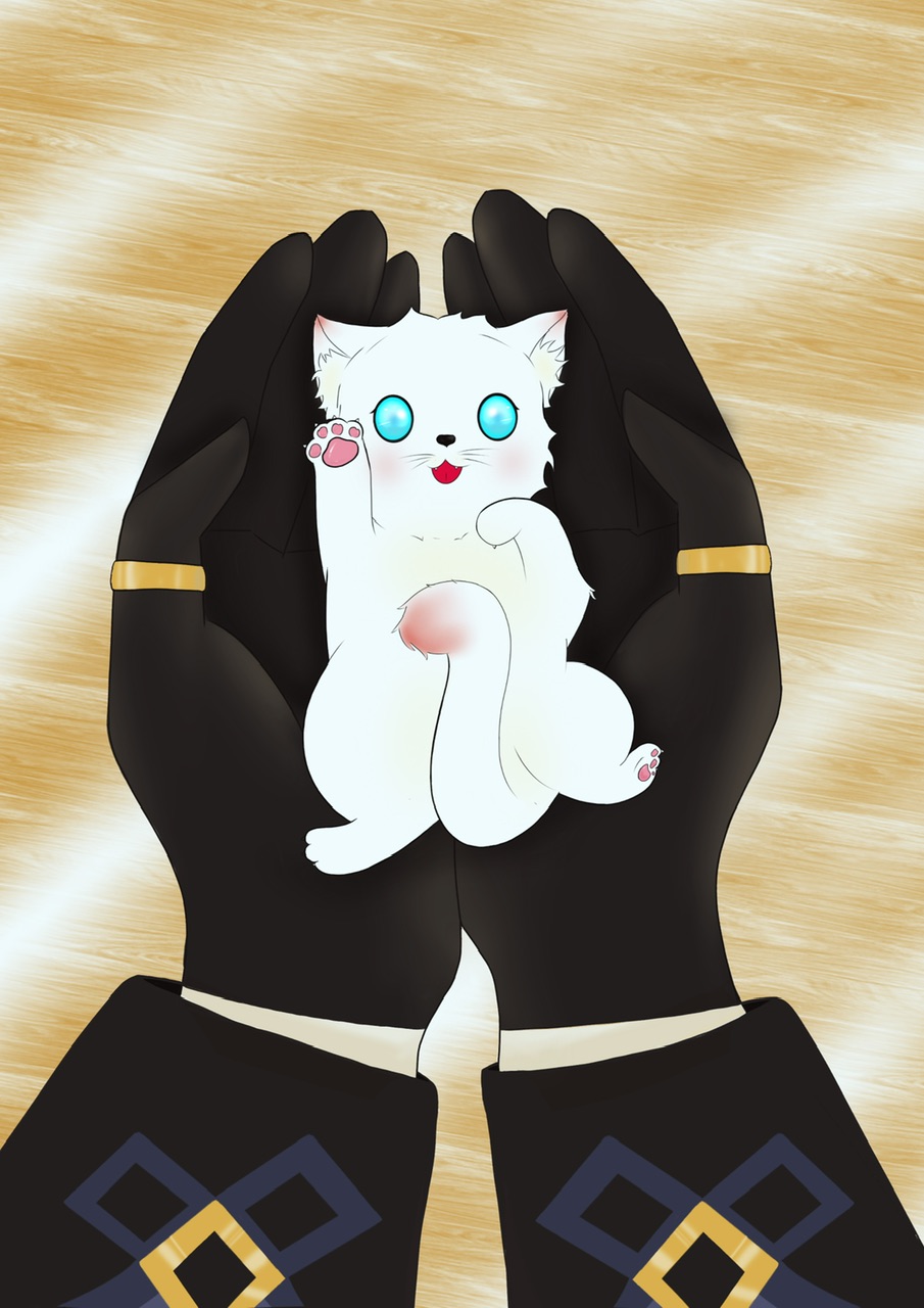 [原神]今天猫猫也在努力生存小说