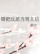 错把反派当男主后txt