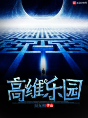 高维vi