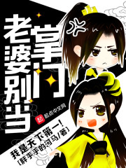 掌门老婆不简单电视剧