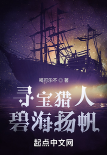 寻宝猎人碧海扬帆笔趣趣