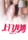 上门龙婿叶晨