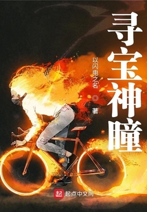 寻宝神瞳TXT