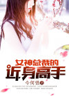 女神总裁的近身高手 小说