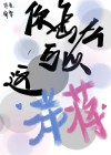 你怎么可以这洋蒋?