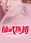 仙武医婿