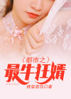 都市之最强狂婿全本免费阅读