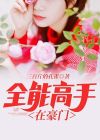 全能高手全文阅读