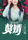 进击的赘婿 二木