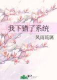 我下错了系统