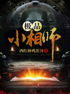 极品风水师陈易小说