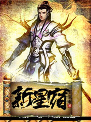 新星宿营车价格与配置