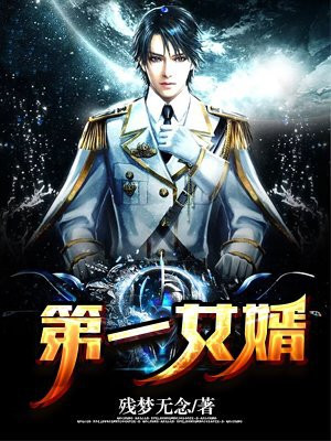 第一女婿免费下载