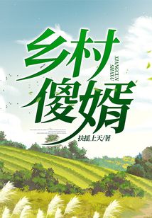乡村傻医全集