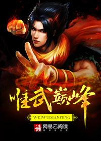 唯武巅峰TXT网盘