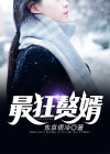 最狂赘婿完整版免费
