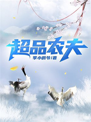 超品农夫 季小爵爷 TXT