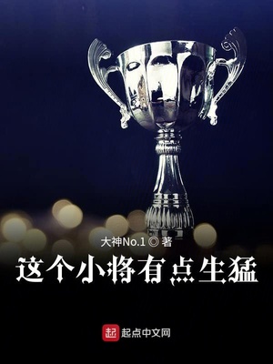 这个将军有点扣电视剧