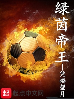 绿茵帝王 小说