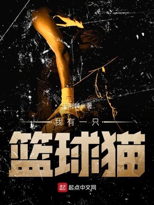 我是一只篮球