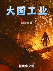 大国工业全文免费阅读