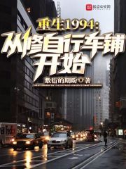 重生1994从修自行车铺开始免费