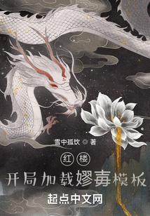 红楼:开局加载蹦0txt
