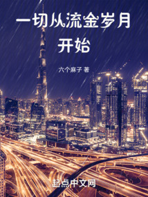一切从流金岁月开始的小说