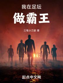 我在足坛做霸王TXT下载