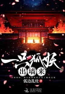 一只一只狐的小说