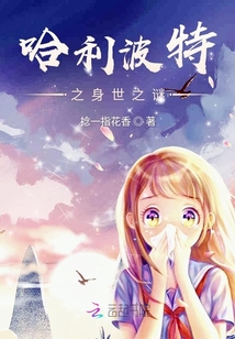 哈利波特身份介绍
