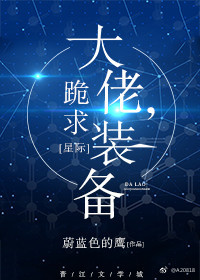 大佬,跪求装备![星际]下载
