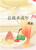 总裁老婆未成年一类的小说