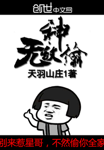 无敌神偷妙手空空