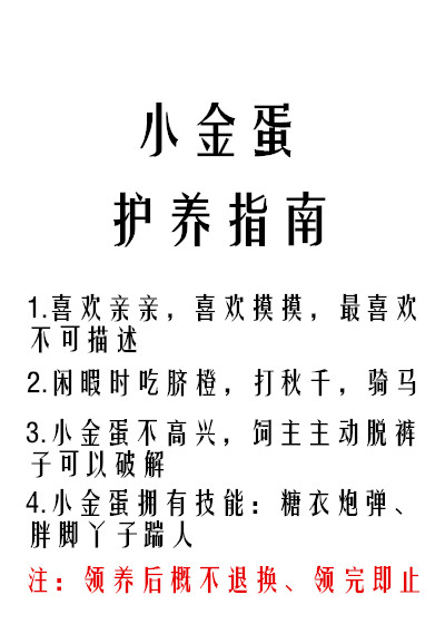 小金蛋护养指南txt