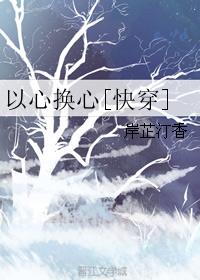 以心换心快穿笔趣阁