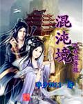 混沌之境小说