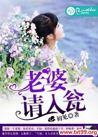 老婆请爱我免费阅读