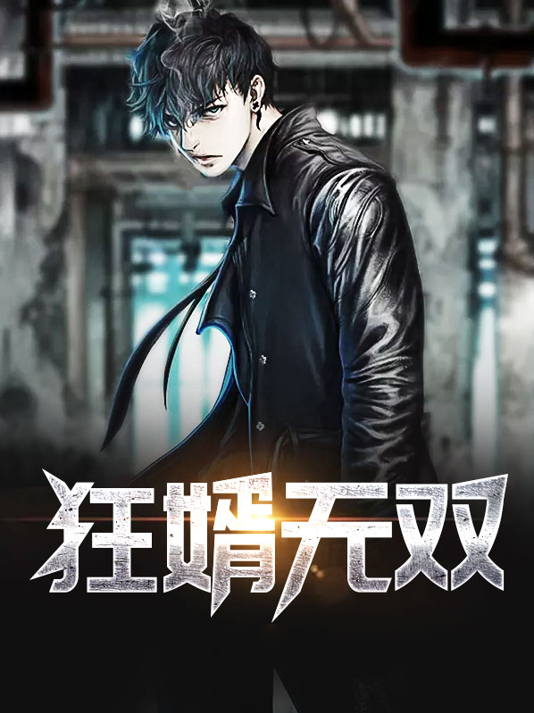 无双狂婿小说下载