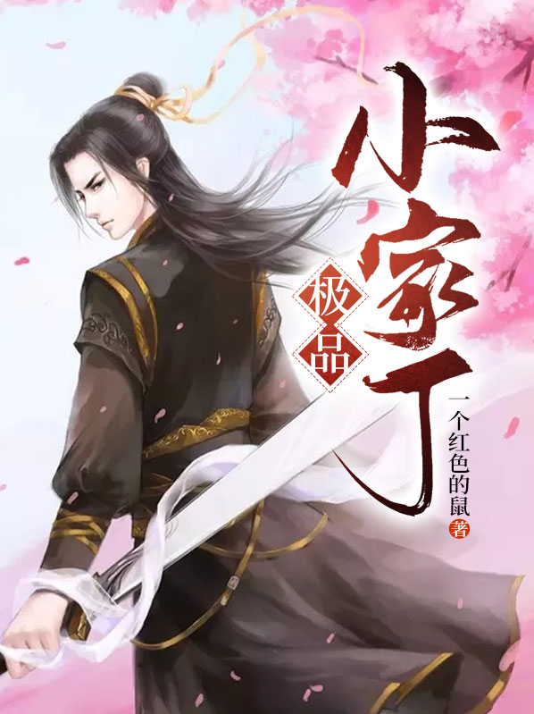 极品家丁32