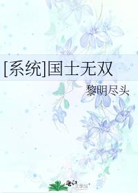 小说 国士无双