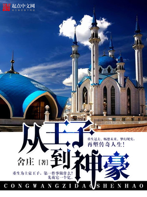 从王子到神豪下载