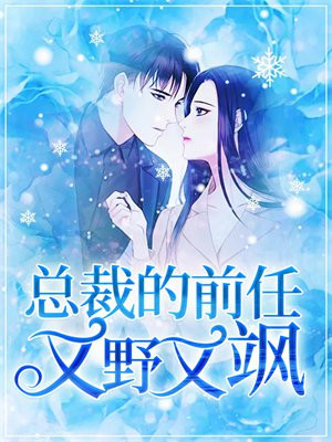 总裁的前任又野又飒小说