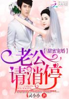甜蜜婚宠,老公大人停一停