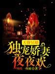 天价宠妻夜爵小说