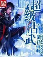 超级古武兵王叶凡