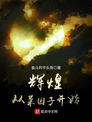 辉煌从菜园子开始 百度网盘