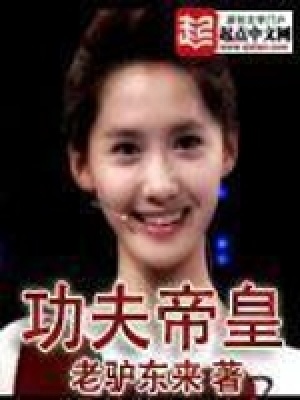 功夫帝皇几个女主